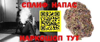 бошки Дубна