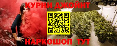бошки Дубна