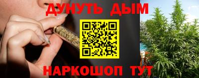 бошки Дубна