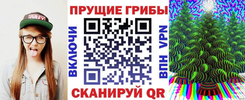 гидра рабочий сайт  Кызыл  Псилоцибиновые грибы MAGIC MUSHROOMS 