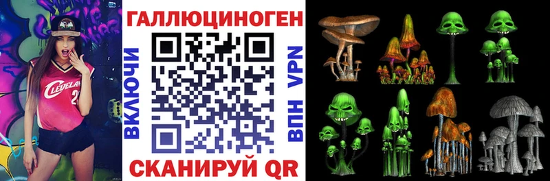 Галлюциногенные грибы Cubensis Кызыл