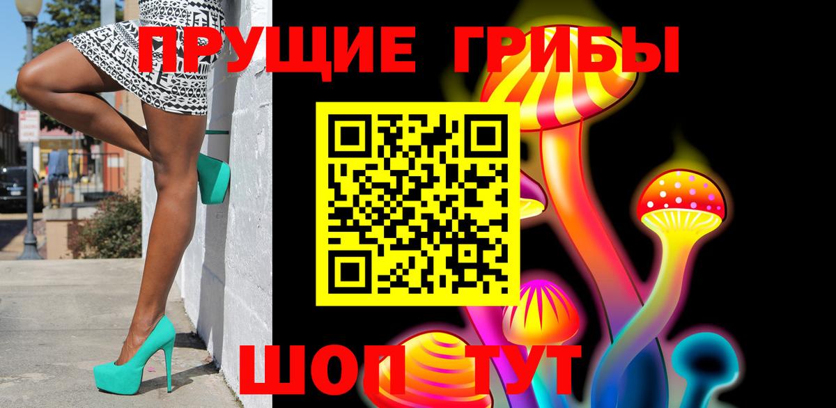 Псилоцибиновые грибы Psilocybine cubensis Кызыл