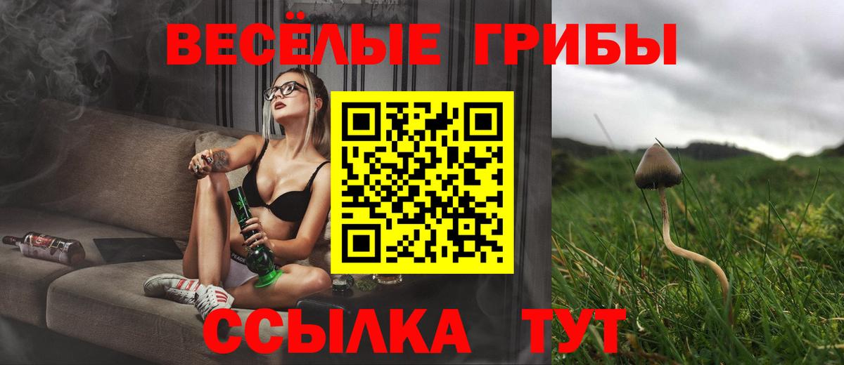 Галлюциногенные грибы Psilocybe  Галлюциногенные грибы мухоморы  Кызыл  Вход с VPN 